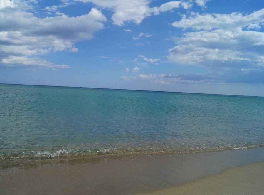 Agriturismo Irghitula Позада Екстериор снимка